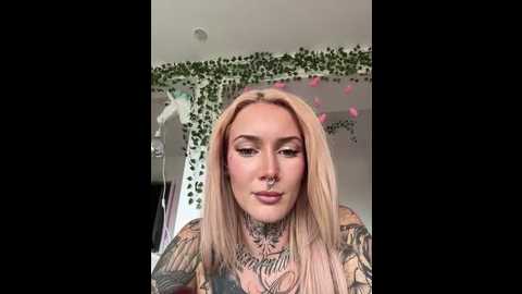 stella_kink @ stripchat on 20251031