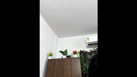 v_hot_sweti @ stripchat on 20251031