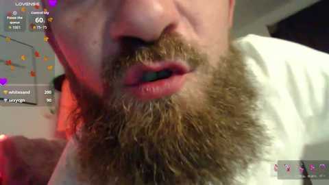 xbellaxundxuwex @ stripchat on 20251031