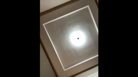 ahlam7578 @ stripchat on 20251101