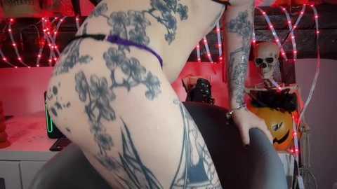 coyemoo @ stripchat on 20251101