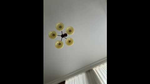 curvyflawless @ stripchat on 20251101