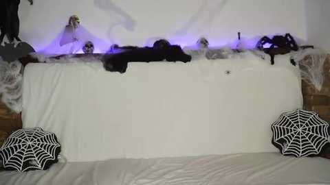 davids_angels @ stripchat on 20251101