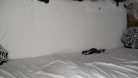 davids_angels @ stripchat on 20251101