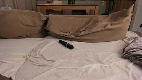 eva_m1racle_ @ stripchat on 20251101