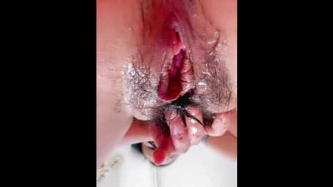 hu2893 @ stripchat on 20251101