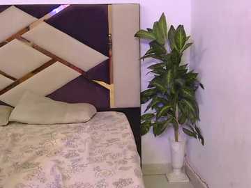 lovelyy_couple @ stripchat on 20251101