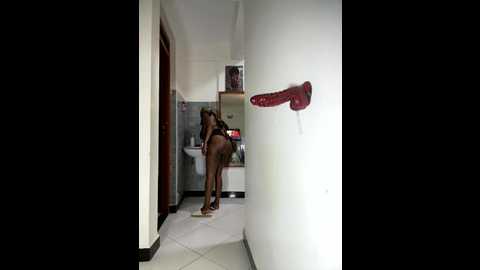 rose_berry @ stripchat on 20251101