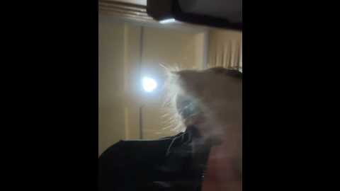 sexywomen35 @ stripchat on 20251101