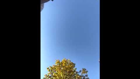 sinfullovers33 @ stripchat on 20251101