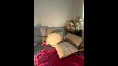 sophi_spice @ stripchat on 20251101