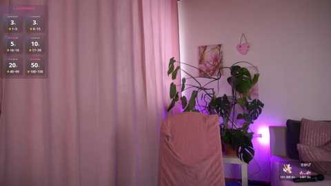 vanessavoxx @ stripchat on 20251101