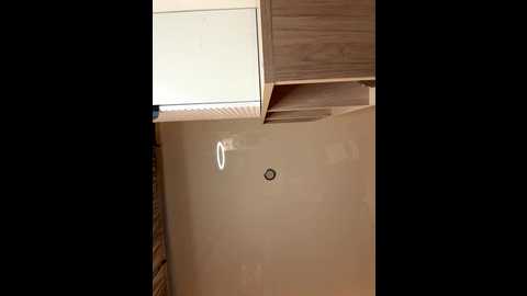 vladamais @ stripchat on 20251101