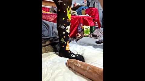 zasmin3 @ stripchat on 20251101