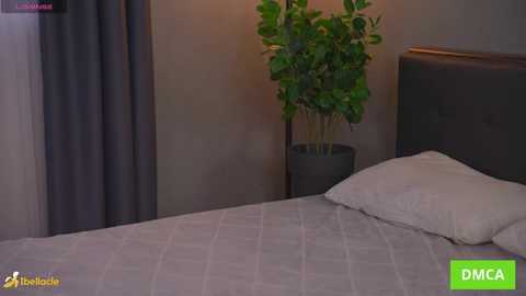 bellacle @ stripchat on 20251102