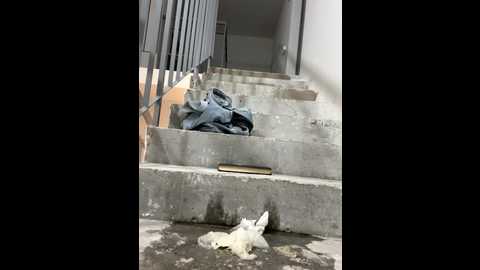 cumonmme @ stripchat on 20251102