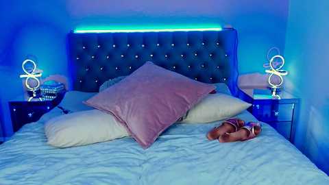 leetizia @ stripchat on 20251102