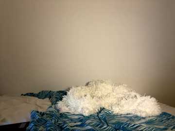 lisa_5329 @ stripchat on 20251102