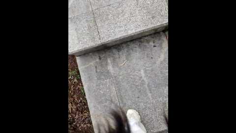 shaoshao_7758 @ stripchat on 20251102