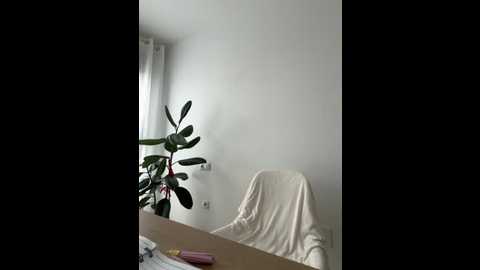 streetdoll @ stripchat on 20251102