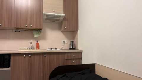 aidagloshen @ stripchat on 20251103