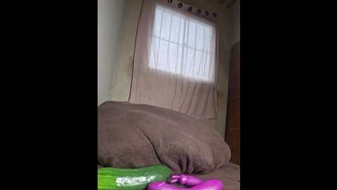 helenholtz @ stripchat on 20251103