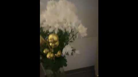 lilly_cherry69 @ stripchat on 20251103