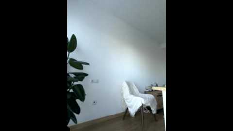 streetdoll @ stripchat on 20251103