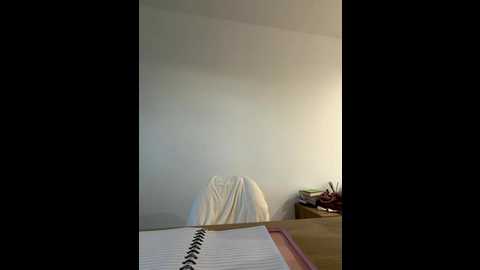 streetdoll @ stripchat on 20251103