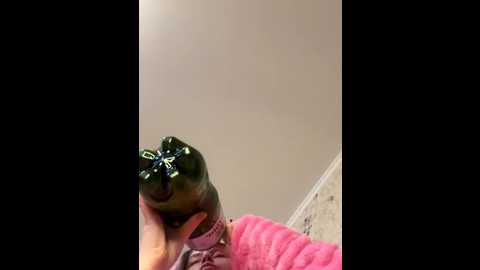 tomyris_yuki @ stripchat on 20251103