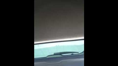 _pupsiki_ @ stripchat on 20251104