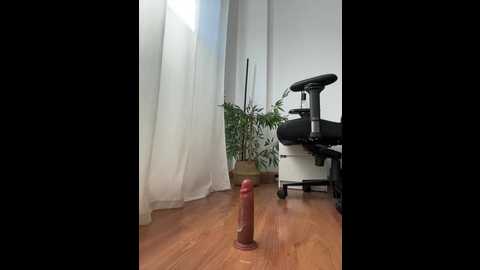 bellagiaxx @ stripchat on 20251104