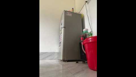 eva_meo @ stripchat on 20251104