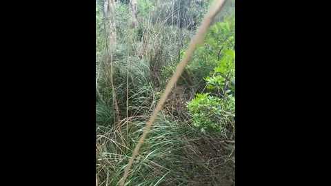 heavennhell @ stripchat on 20251104