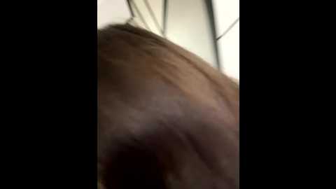 lelebaybay888 @ stripchat on 20251104