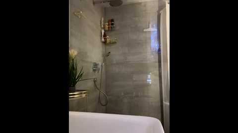 lilly_cherry69 @ stripchat on 20251104