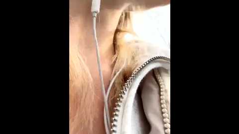 sssativa_model @ stripchat on 20251104