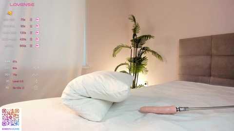 sweetlilylove @ stripchat on 20251104