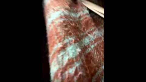 yourkeer @ stripchat on 20251104