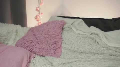 amilewis @ stripchat on 20251105