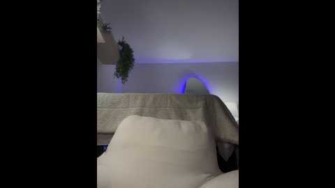 aryrosee @ stripchat on 20251105