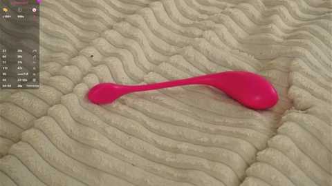 brynnholverson @ stripchat on 20251105