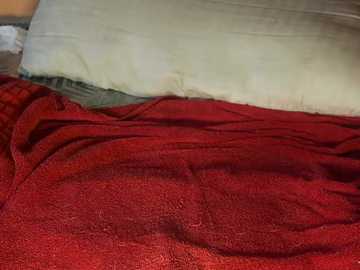 callmeshreya @ stripchat on 20251105