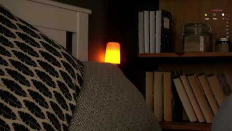 darylbarks @ stripchat on 20251105