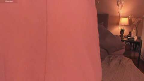 dearmoa @ stripchat on 20251105