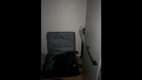 elliepixie @ stripchat on 20251105