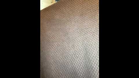 emasalis @ stripchat on 20251105