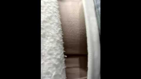 katexxxx @ stripchat on 20251105