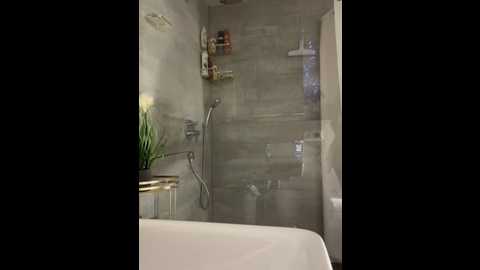 lilly_cherry69 @ stripchat on 20251105