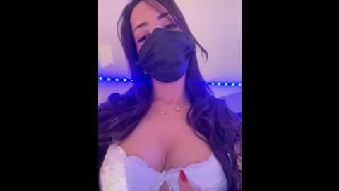 lola_bee @ stripchat on 20251105